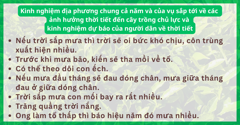Khuyen nong Thai Nguyen (7)_1751859913.png